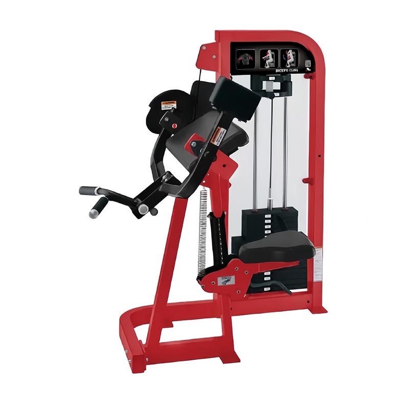 Roghnaigh Biceps Curl Machine